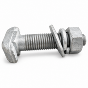 T-HEAD BOLTS